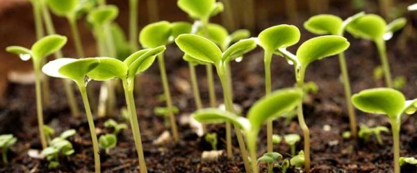 Actividades en Salta en la Semana del Medio Ambiente