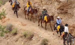 ¿De quién es la responsabilidad de los largos desplazamientos de maestros y alumnos en las montañas de Salta?