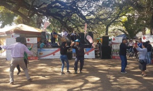 Gato con relaciones en la feria gastronómica de la Plaza Alvarado