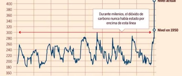 Cerramos 2019 con un deshonroso récord