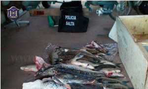 La Policía de Salta incinera sábalos, surubíes y bagres secuestrados en un operativo