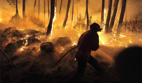 Se celebra hoy el Día de la Prevención de Incendios Forestales