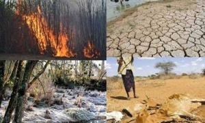 El cambio climático acelerado traerá amenazas ambientales extraordinarias