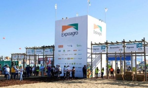 Salta expone sus productos agrícolas en ExpoAgro 2019