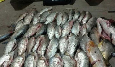 La Policía de Salta secuestra 28 sábalos y 5 bagres en un operativo de control de pesca