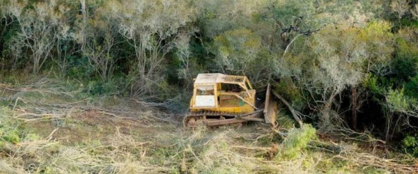 El gobierno de Salta dice haber frenado un desmonte ilegal en Aguas Blancas