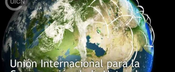 Comenzaron los Juegos Olímpicos de la Conservación