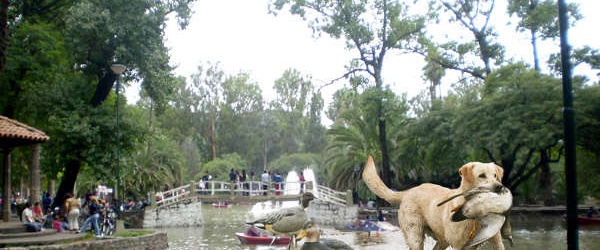 La Secretaría de Ambiente detecta escasez de oxígeno en el lago del parque San Martín