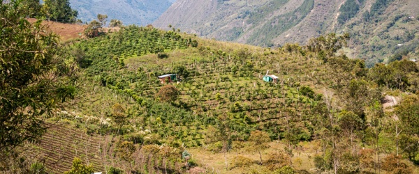 Aumenta el hambre en las áreas de montaña del mundo