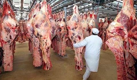 Argentina podrá exportar carne vacuna de calidad superior a la Unión Europea