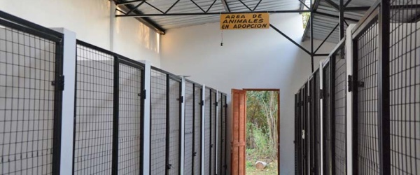 Las puertas metálicas sobrantes del Paseo del Choripán se convierten en 70 caniles