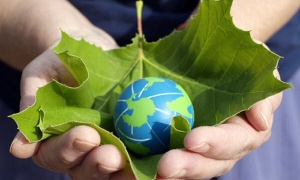 La ONU celebra la entrada en vigor del Acuerdo de París sobre Cambio Climático