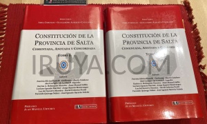 ¿A qué jueces se refiere el párrafo tercero del artículo 156 de la Constitución de Salta?