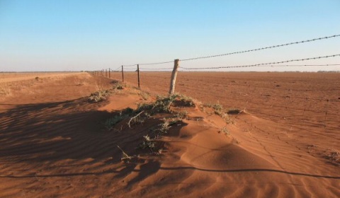 Se celebra hoy el Día Mundial de Lucha contra la Desertificación