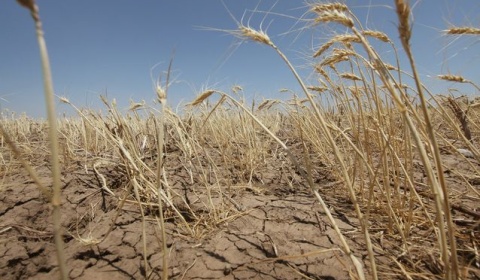 Plan para la revitalización de los suelos en Sudamérica
