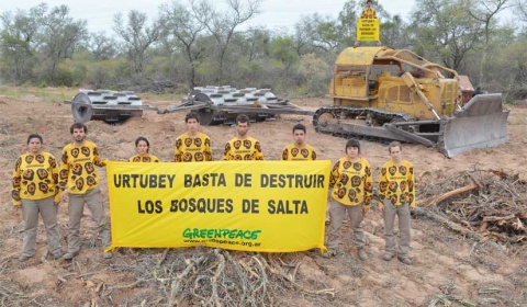Greenpeace reivindica otro ataque antidesmontes por sorpresa en el norte de Salta
