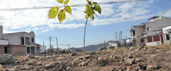 Municipalidad de Salta: Concientización, baile y concurso de identidad salteña