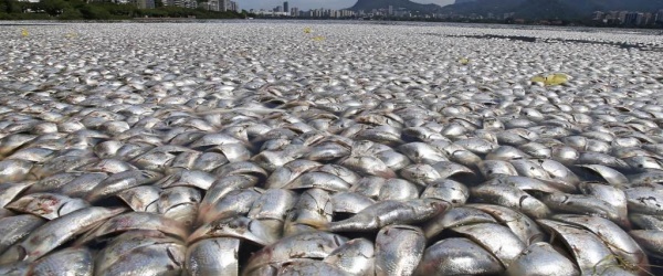 Acuerdo mundial prohíbe la contaminación y uso del mercurio