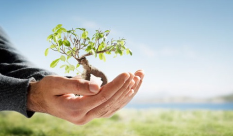Proteger el medio ambiente, clave del nuevo modelo de desarrollo de la CEPAL