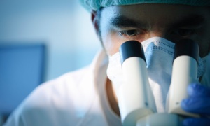 Se celebra hoy el Día Mundial de la Investigación del Cáncer