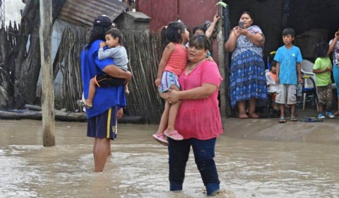 Sepamos distinguir entre solidaridad e improvisación