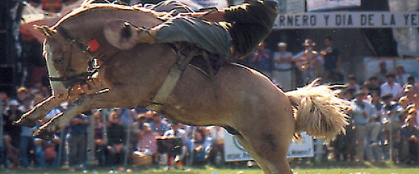 Comienza hoy en Campo Quijano la Fiesta Provincial de la Tradición