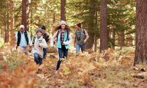 Investiga, explora, maravíllate y aprende sobre los bosques