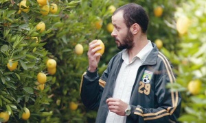 El Cine Arte de Salta proyecta el film 'El árbol de lima'