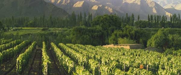 Salta lanza su campaña turística de verano en la Feria Internacional de Turismo