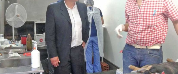 Sáenz anuncia la castración de Cannes, en la Costa Azul