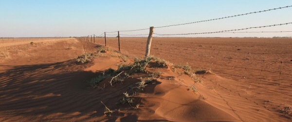 Se celebra hoy el Día Mundial de Lucha contra la Desertificación