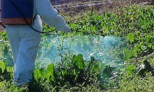 La FAO advierte que América Latina genera altas emisiones agrícolas de gases de efecto invernadero