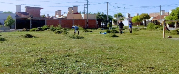 La Municipalidad lucha contra los yuyos en los barrios San Carlos, Los Ceibos y Miguel Aráoz