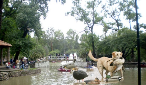 La Secretaría de Ambiente detecta escasez de oxígeno en el lago del parque San Martín