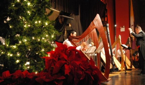 Concierto de Navidad en la Catedral Basílica de Salta