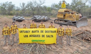 Greenpeace 'fiscaliza' a Salta