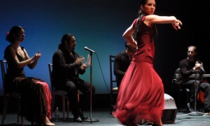 Valeria Villagra presenta 'Báilame 2014' en la Casa de la Cultura de Salta