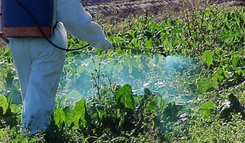 La FAO advierte que América Latina genera altas emisiones agrícolas de gases de efecto invernadero
