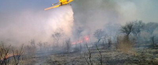 La Municipalidad de Salta difunde recomendaciones para prevenir incendios forestales