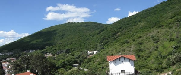 Un centenar de nuevos voluntarios ambientales para la reforestación del Cerro San Bernardo
