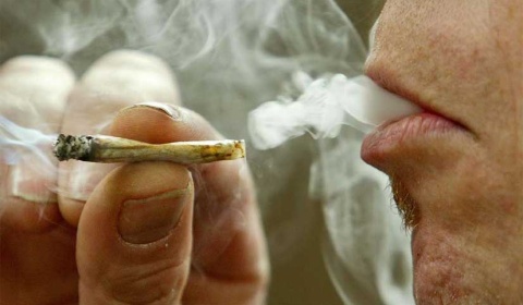 34 empresas se apuntan en Uruguay para explotar la industria del cannabis