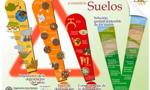 Contaminación y degradación del suelo causada por el hombre