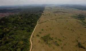 La deforestación, una de las causas de la tragedia en Colombia