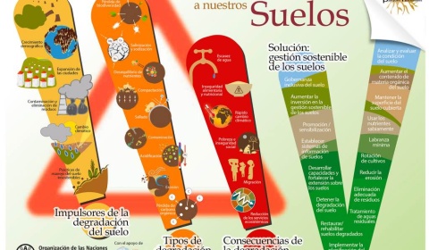 Contaminación y degradación del suelo causada por el hombre
