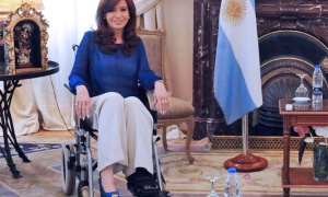 La agresividad del pato rengo