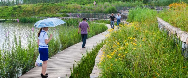 Los humedales y la biodiversidad