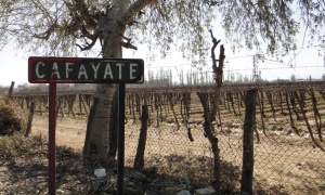 El precio del hospedaje en el norte argentino aumenta un 49% con Cafayate a la cabeza