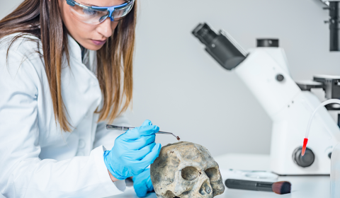 Jornada sobre odontología legal en Salta
