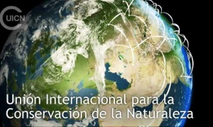 Comenzaron los Juegos Olímpicos de la Conservación