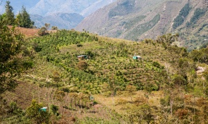 Aumenta el hambre en las áreas de montaña del mundo